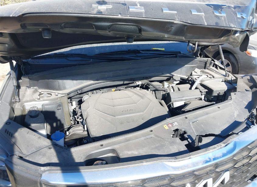 Photo 10 of 2022 Kia Telluride EX (VIN 5XYP3DHC2NG283157)