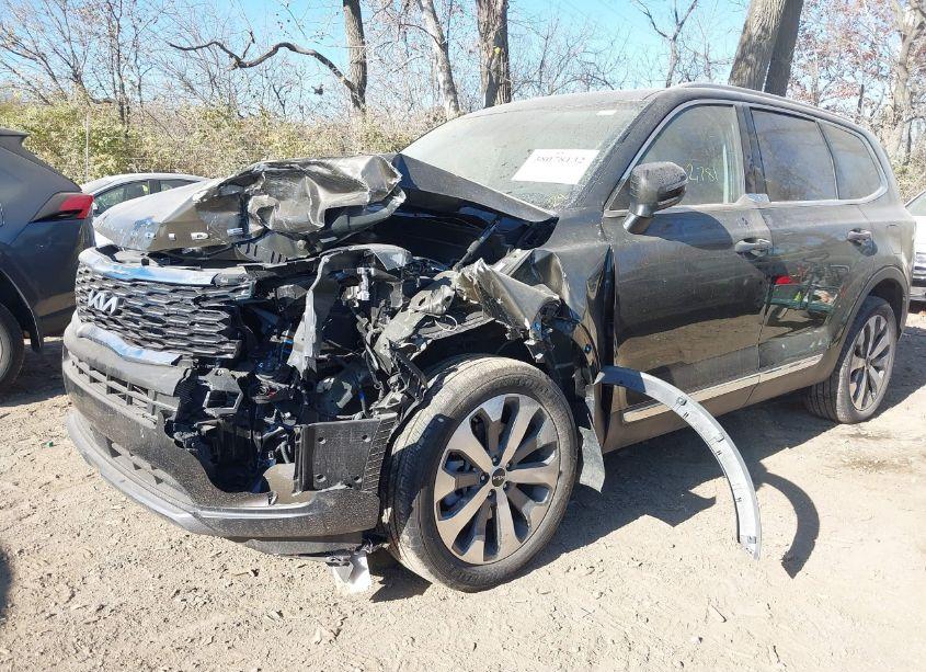 Photo 12 of 2022 Kia Telluride EX (VIN 5XYP3DHC2NG283157)