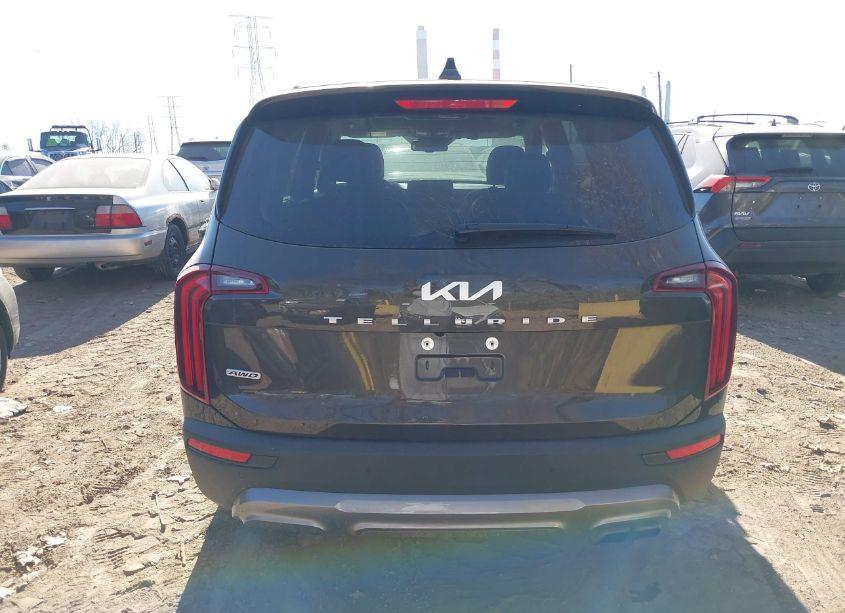 Photo 17 of 2022 Kia Telluride EX (VIN 5XYP3DHC2NG283157)