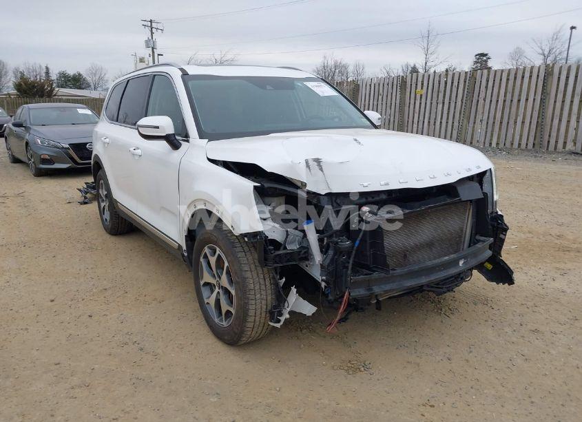2020 Kia Telluride EX (VIN 5XYP3DHC3LG040986) main photo