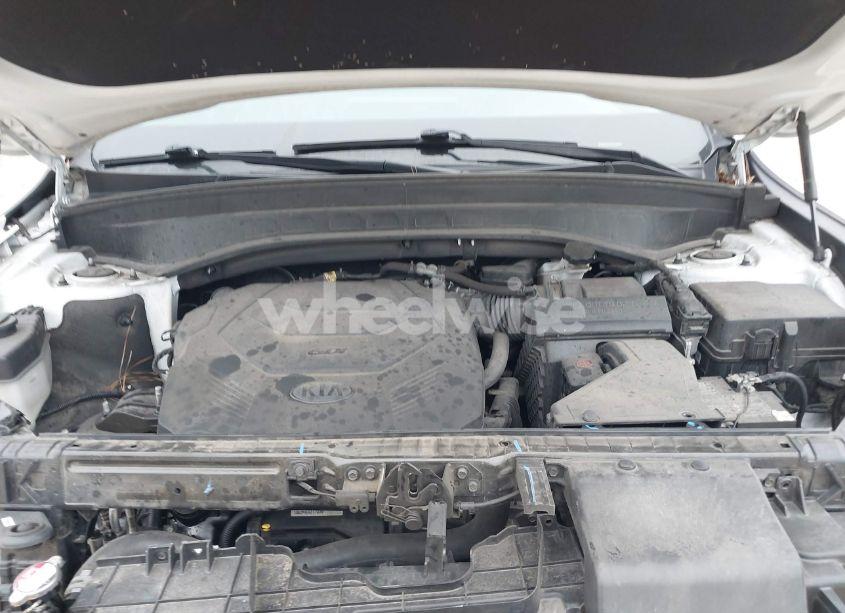 Photo 10 of 2020 Kia Telluride EX (VIN 5XYP3DHC3LG040986)