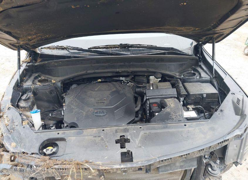 Photo 10 of 2021 Kia Telluride EX (VIN 5XYP3DHC3MG103795)