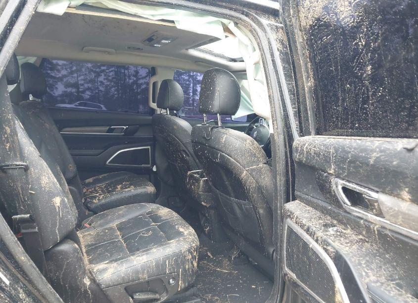 Photo 8 of 2021 Kia Telluride EX (VIN 5XYP3DHC3MG103795)