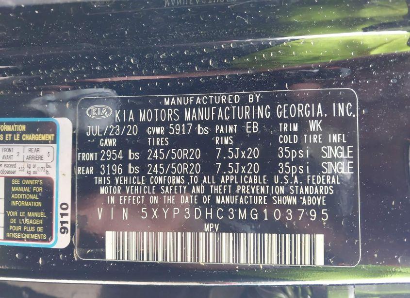 Photo 9 of 2021 Kia Telluride EX (VIN 5XYP3DHC3MG103795)