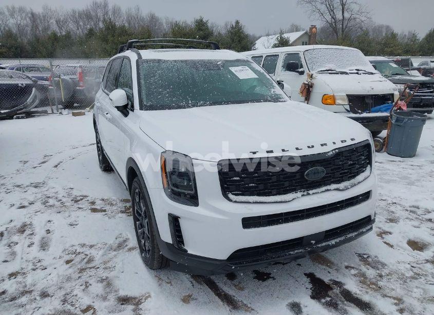 2021 Kia Telluride EX (VIN 5XYP3DHC3MG188864) main photo
