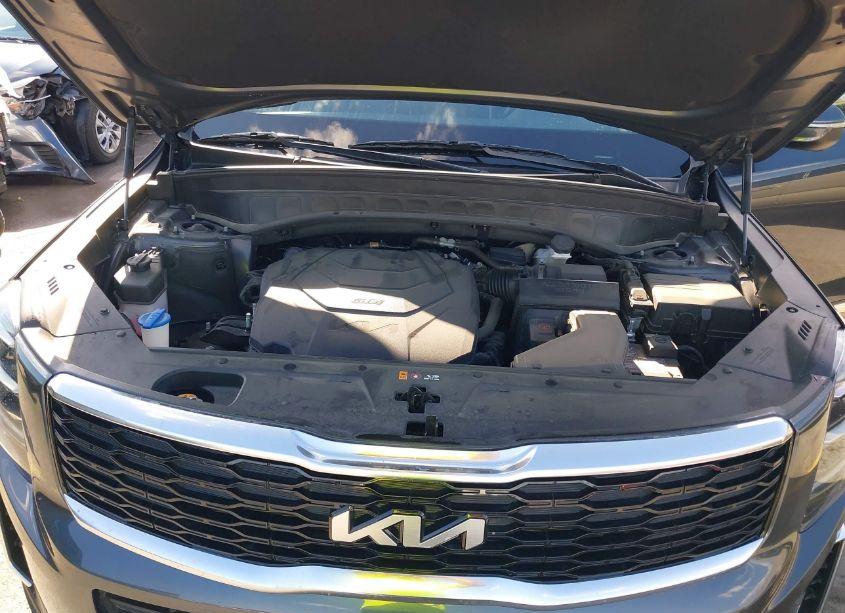 Photo 10 of 2022 Kia Telluride EX (VIN 5XYP3DHC3NG317817)