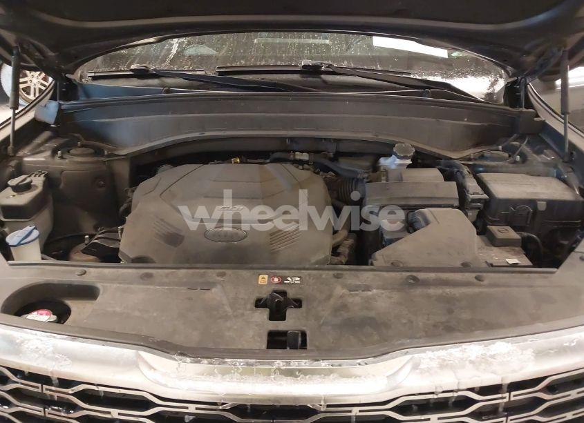 Photo 10 of 2021 Kia Telluride EX (VIN 5XYP3DHC4MG116989)