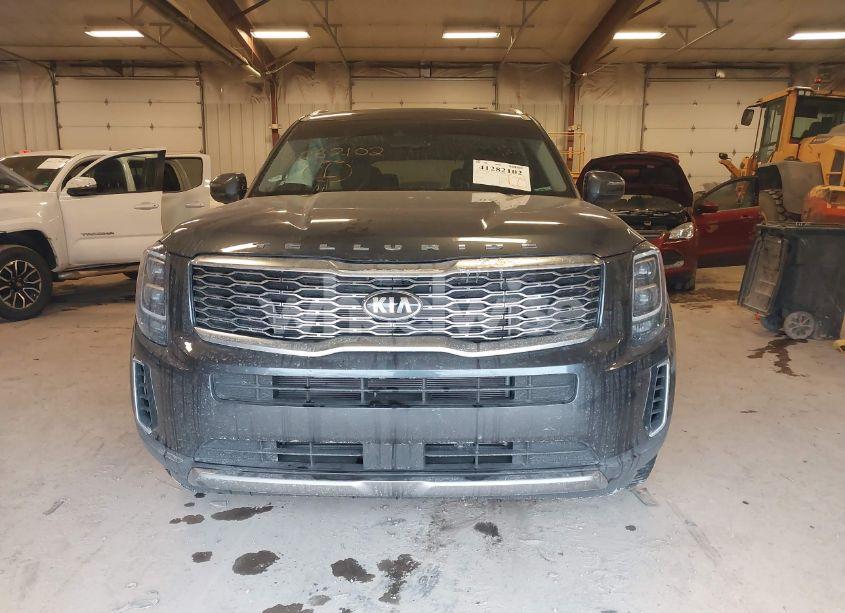 Photo 12 of 2021 Kia Telluride EX (VIN 5XYP3DHC4MG116989)