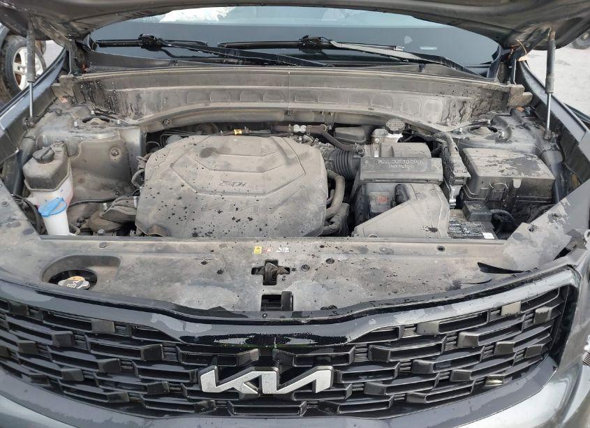 Photo 10 of 2022 Kia Telluride EX (VIN 5XYP3DHC4NG227057)