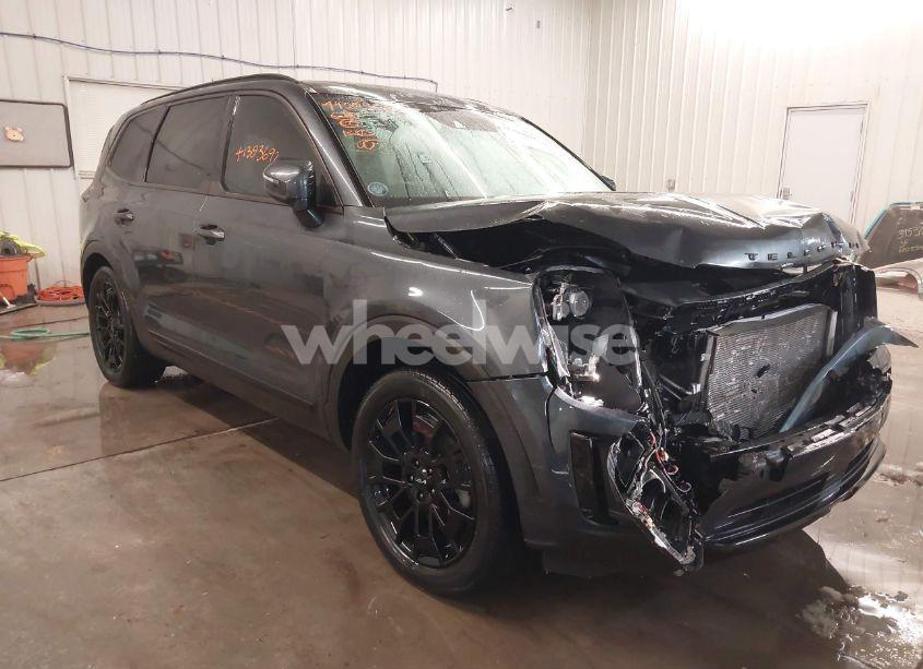 2022 Kia Telluride EX (VIN 5XYP3DHC4NG247566) main photo