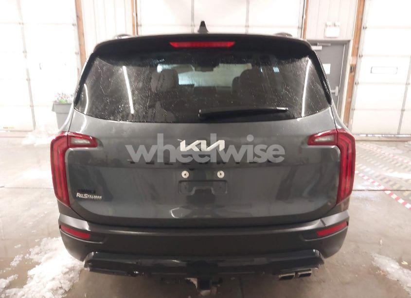 Photo 16 of 2022 Kia Telluride EX (VIN 5XYP3DHC4NG247566)