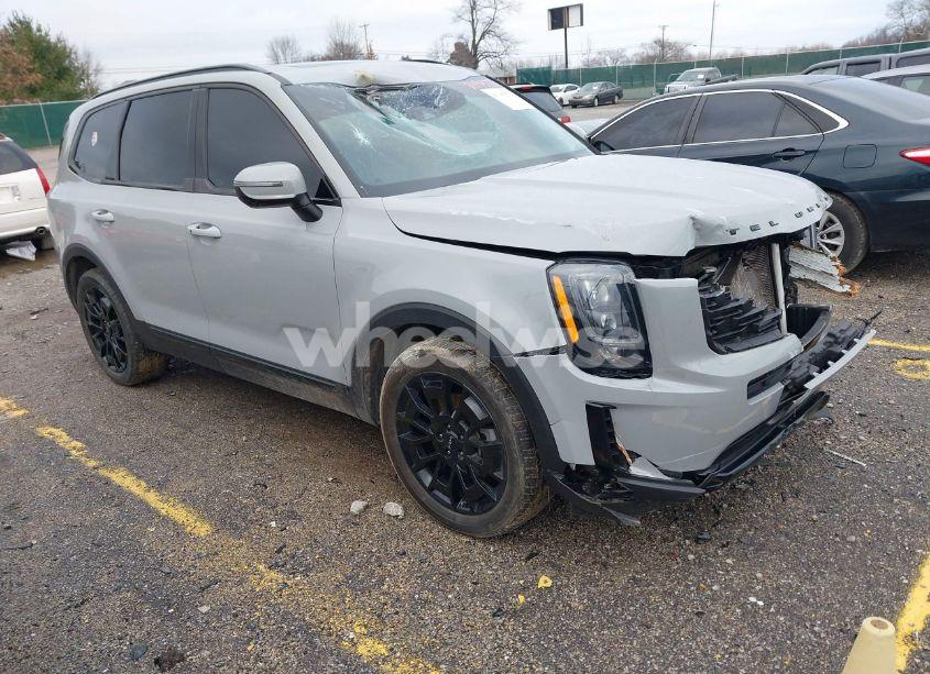2022 Kia Telluride EX (VIN 5XYP3DHC4NG319222) main photo