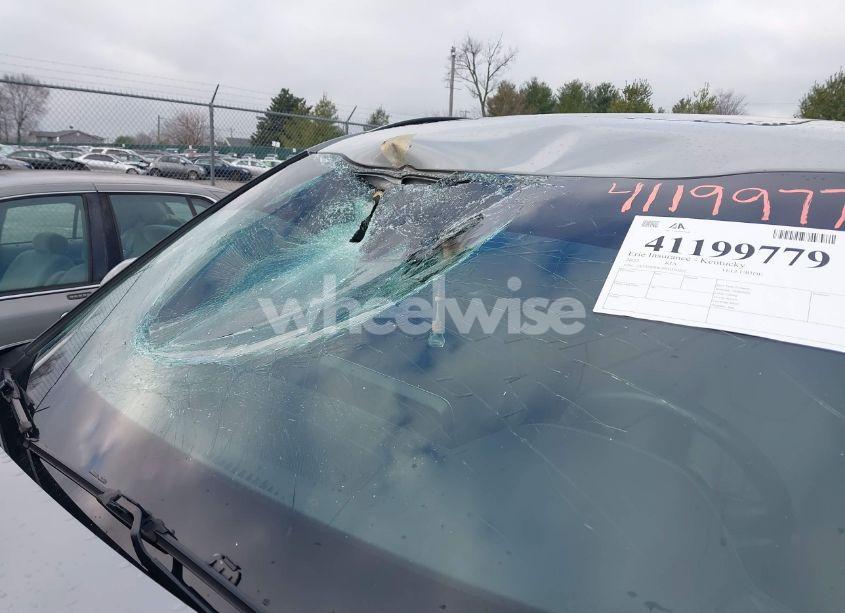 Photo 18 of 2022 Kia Telluride EX (VIN 5XYP3DHC4NG319222)