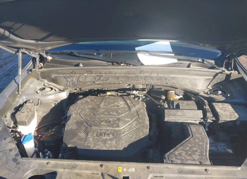 Photo 10 of 2021 Kia Telluride EX (VIN 5XYP3DHC5MG189630)