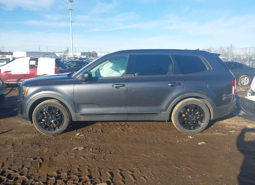 Photo 14 of 2021 Kia Telluride EX (VIN 5XYP3DHC5MG189630)
