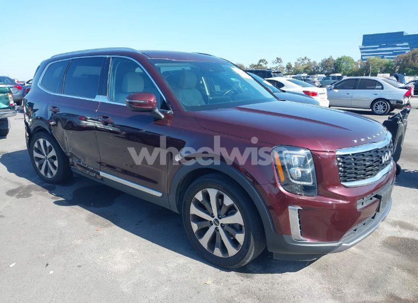 2022 Kia Telluride EX (VIN 5XYP3DHC5NG230081) main photo
