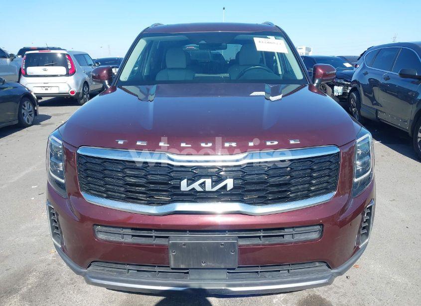 Photo 12 of 2022 Kia Telluride EX (VIN 5XYP3DHC5NG230081)