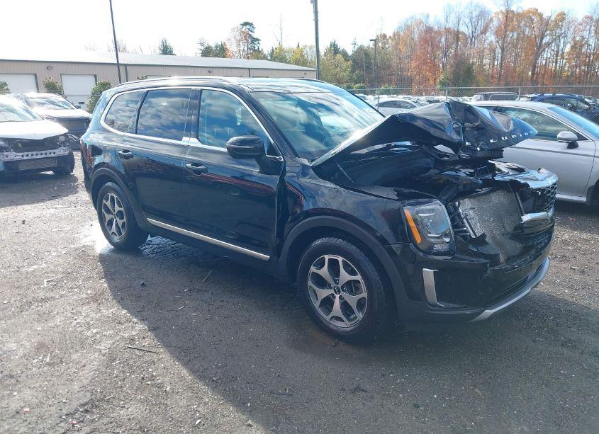 2020 Kia Telluride EX (VIN 5XYP3DHC6LG061430) main photo