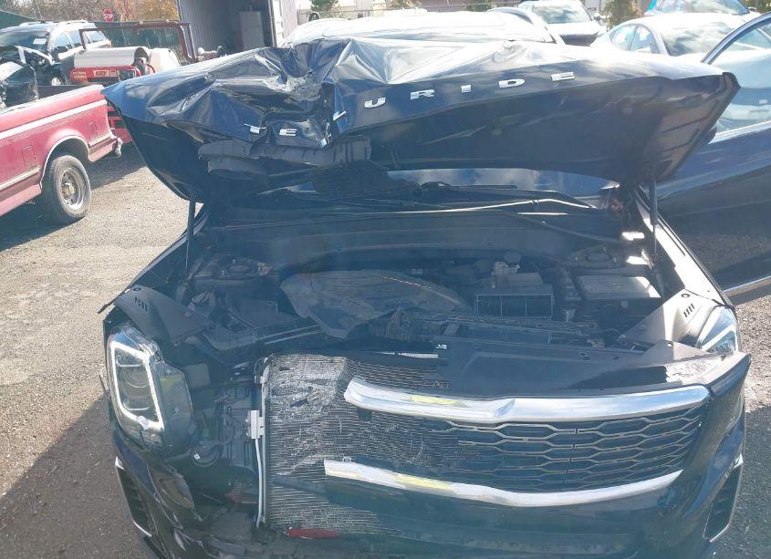 Photo 10 of 2020 Kia Telluride EX (VIN 5XYP3DHC6LG061430)