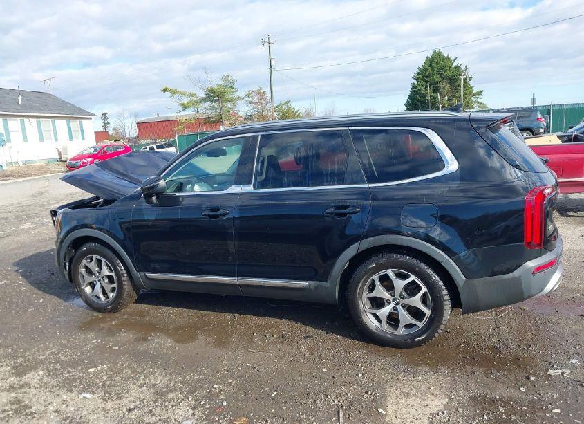 Photo 14 of 2020 Kia Telluride EX (VIN 5XYP3DHC6LG061430)