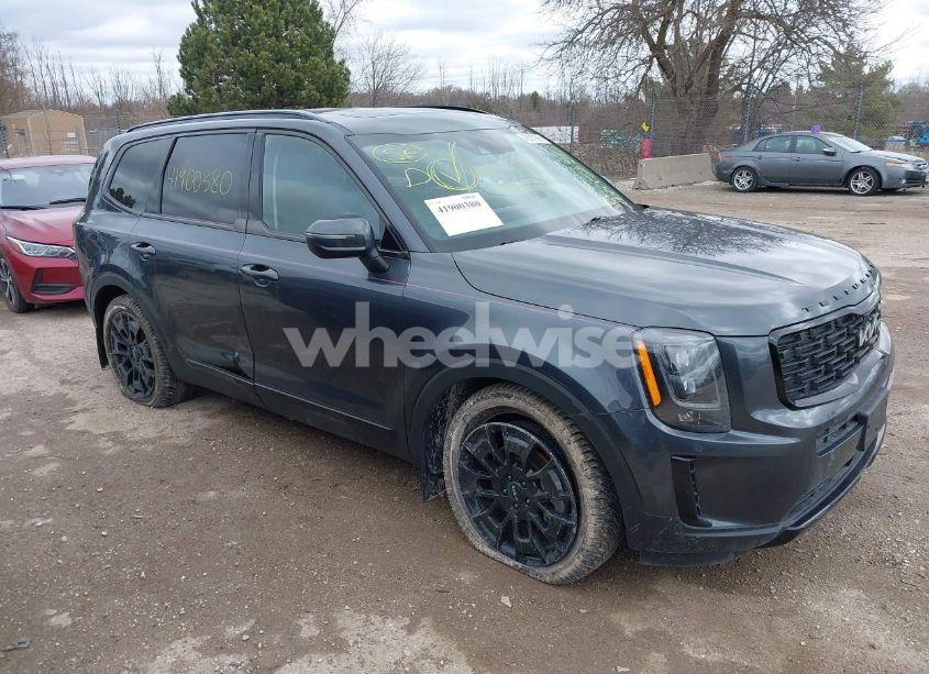 2022 Kia Telluride EX (VIN 5XYP3DHC6NG218702) main photo
