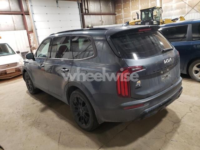 2022 KIA TELLURIDE EX (VIN 5XYP3DHC6NG270167) main photo