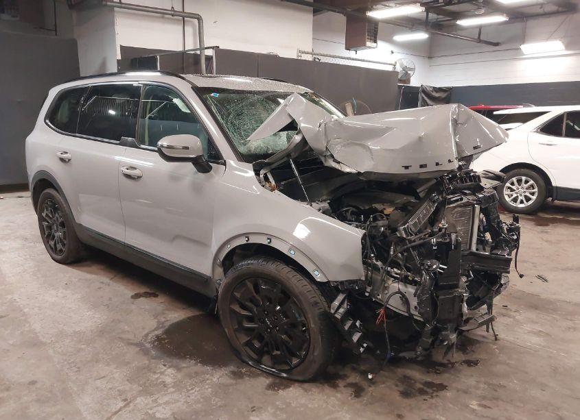 2022 Kia Telluride EX (VIN 5XYP3DHC6NG320758) main photo
