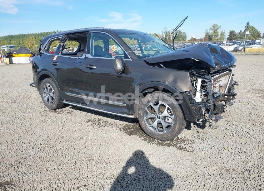 2022 Kia Telluride EX (VIN 5XYP3DHC7NG201553) main photo