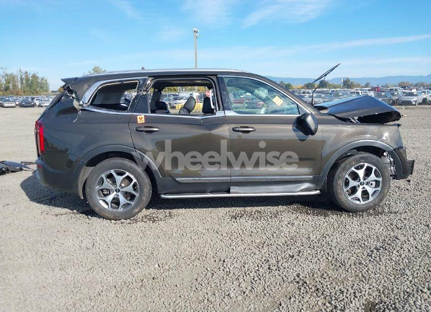Photo 13 of 2022 Kia Telluride EX (VIN 5XYP3DHC7NG201553)