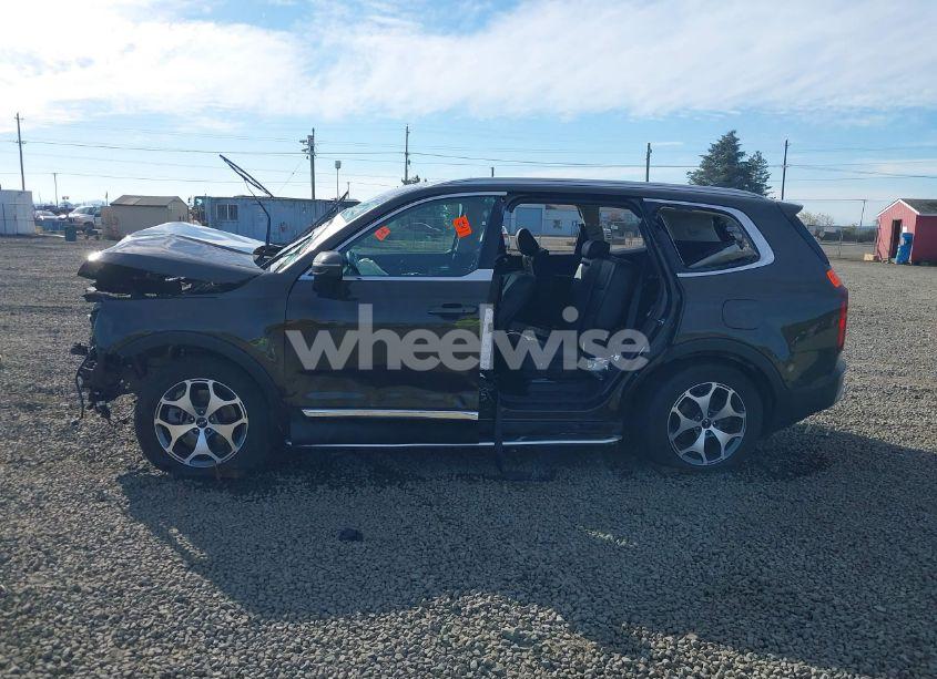 Photo 14 of 2022 Kia Telluride EX (VIN 5XYP3DHC7NG201553)
