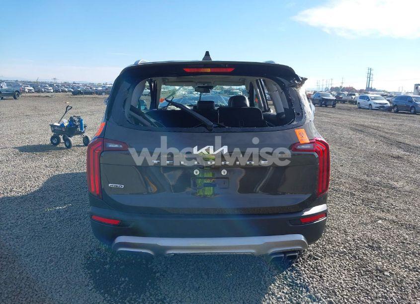 Photo 16 of 2022 Kia Telluride EX (VIN 5XYP3DHC7NG201553)