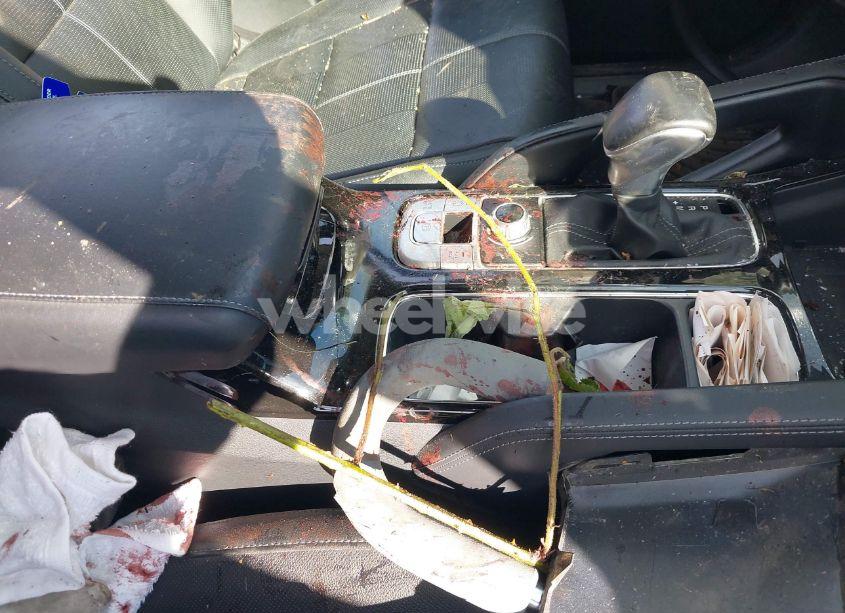 Photo 17 of 2022 Kia Telluride EX (VIN 5XYP3DHC7NG201553)