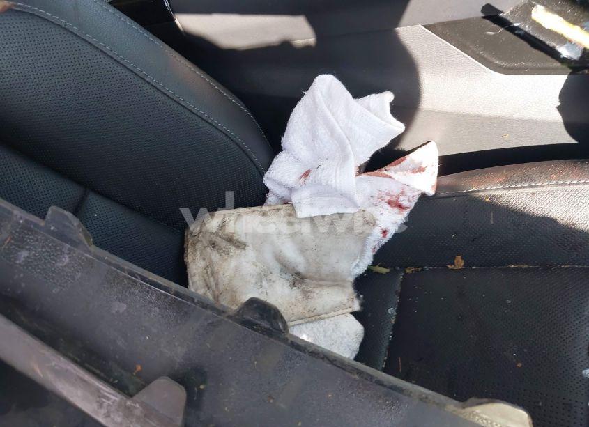 Photo 19 of 2022 Kia Telluride EX (VIN 5XYP3DHC7NG201553)