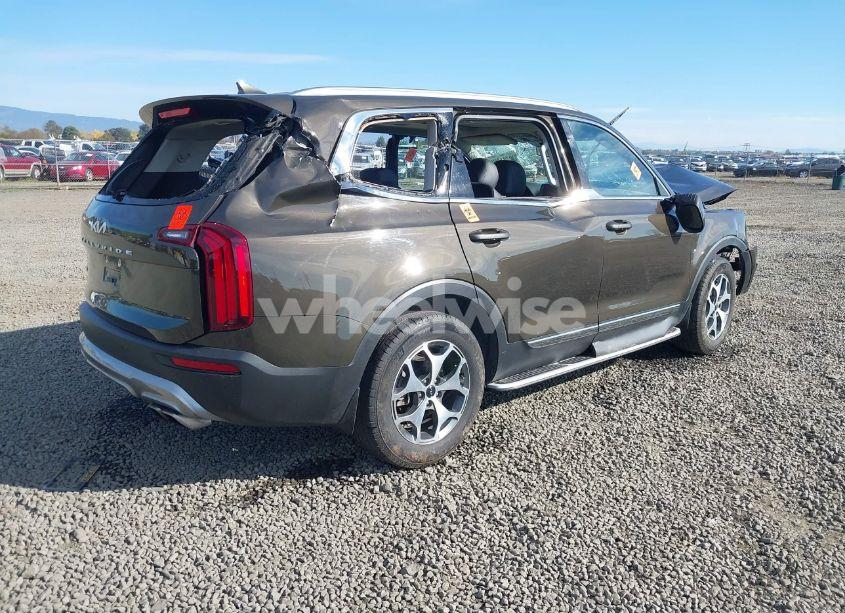 Photo 4 of 2022 Kia Telluride EX (VIN 5XYP3DHC7NG201553)