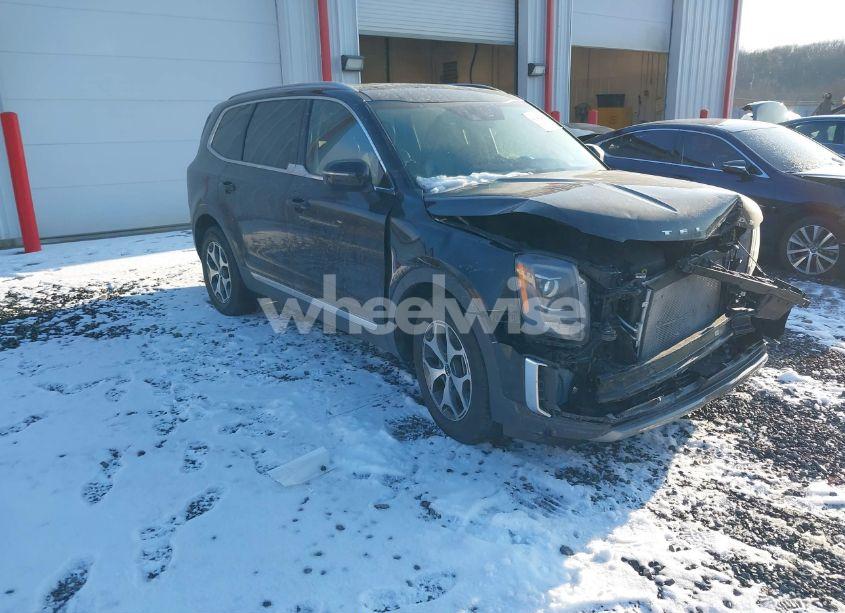 2022 Kia Telluride EX (VIN 5XYP3DHC8NG253449) main photo