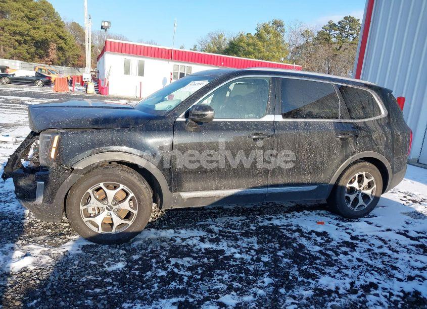 Photo 14 of 2022 Kia Telluride EX (VIN 5XYP3DHC8NG253449)