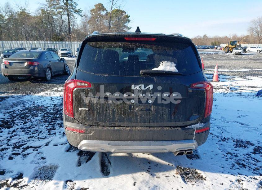 Photo 16 of 2022 Kia Telluride EX (VIN 5XYP3DHC8NG253449)