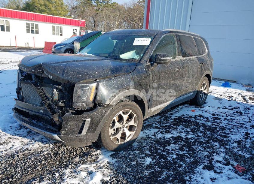 Photo 2 of 2022 Kia Telluride EX (VIN 5XYP3DHC8NG253449)