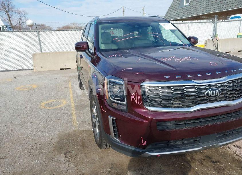 2020 Kia Telluride EX (VIN 5XYP3DHC9LG010813) main photo