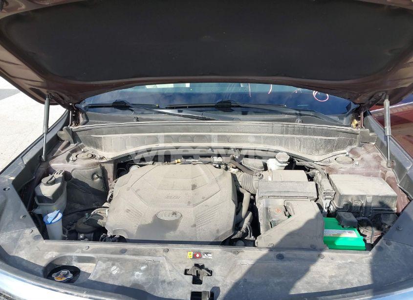 Photo 10 of 2020 Kia Telluride EX (VIN 5XYP3DHC9LG010813)