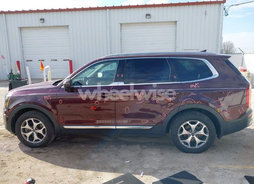 Photo 14 of 2020 Kia Telluride EX (VIN 5XYP3DHC9LG010813)
