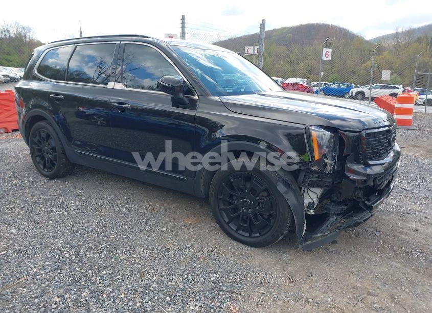 2021 Kia Telluride EX (VIN 5XYP3DHC9MG182549) main photo