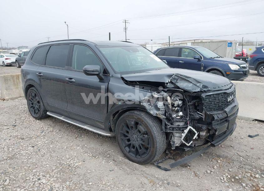 2022 Kia Telluride EX (VIN 5XYP3DHC9NG235896) main photo