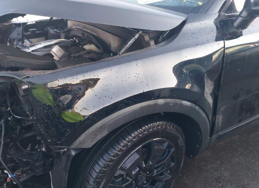 Photo 19 of 2021 Kia Telluride EX (VIN 5XYP3DHCXMG184455)