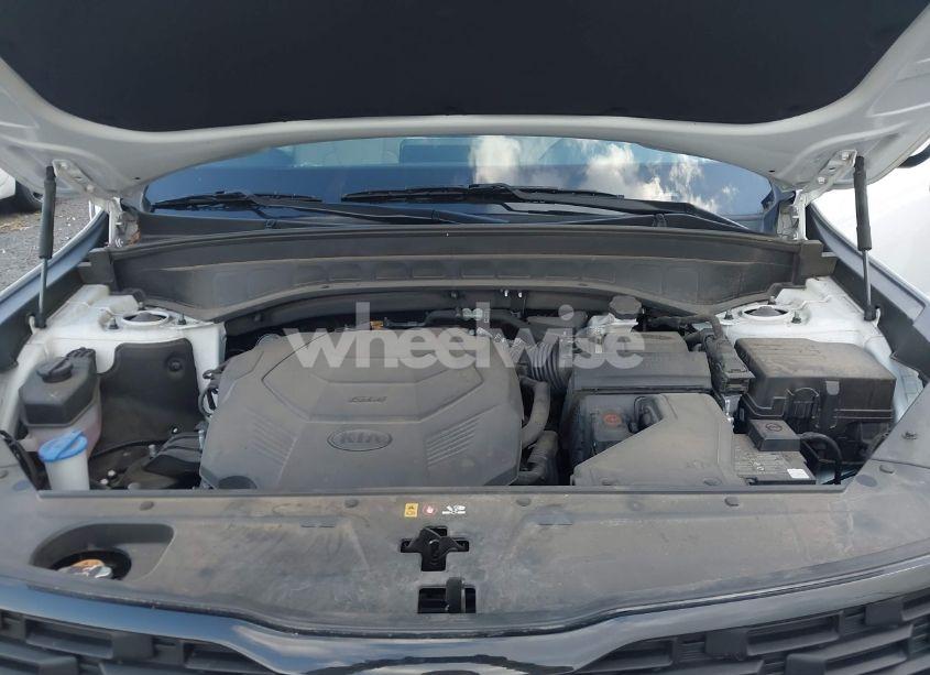 Photo 10 of 2021 Kia Telluride EX (VIN 5XYP3DHCXMG188442)