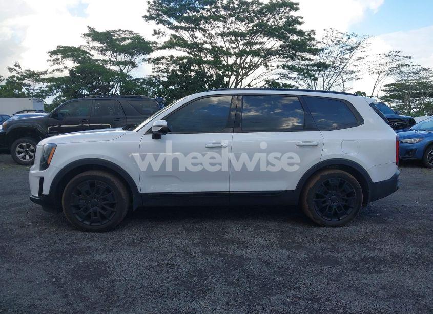 Photo 14 of 2021 Kia Telluride EX (VIN 5XYP3DHCXMG188442)