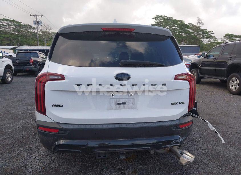 Photo 16 of 2021 Kia Telluride EX (VIN 5XYP3DHCXMG188442)