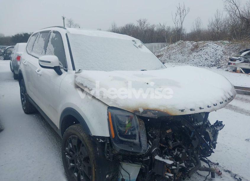 2022 Kia Telluride EX (VIN 5XYP3DHCXNG277221) main photo
