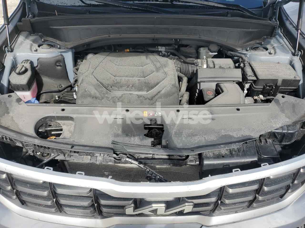 Photo 12 of 2023 KIA TELLURIDE SX (VIN 5XYP54GC3PG401828)