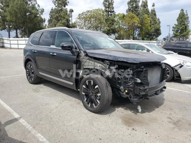 2024 KIA TELLURIDE SX (VIN 5XYP54GC4RG467811) main photo